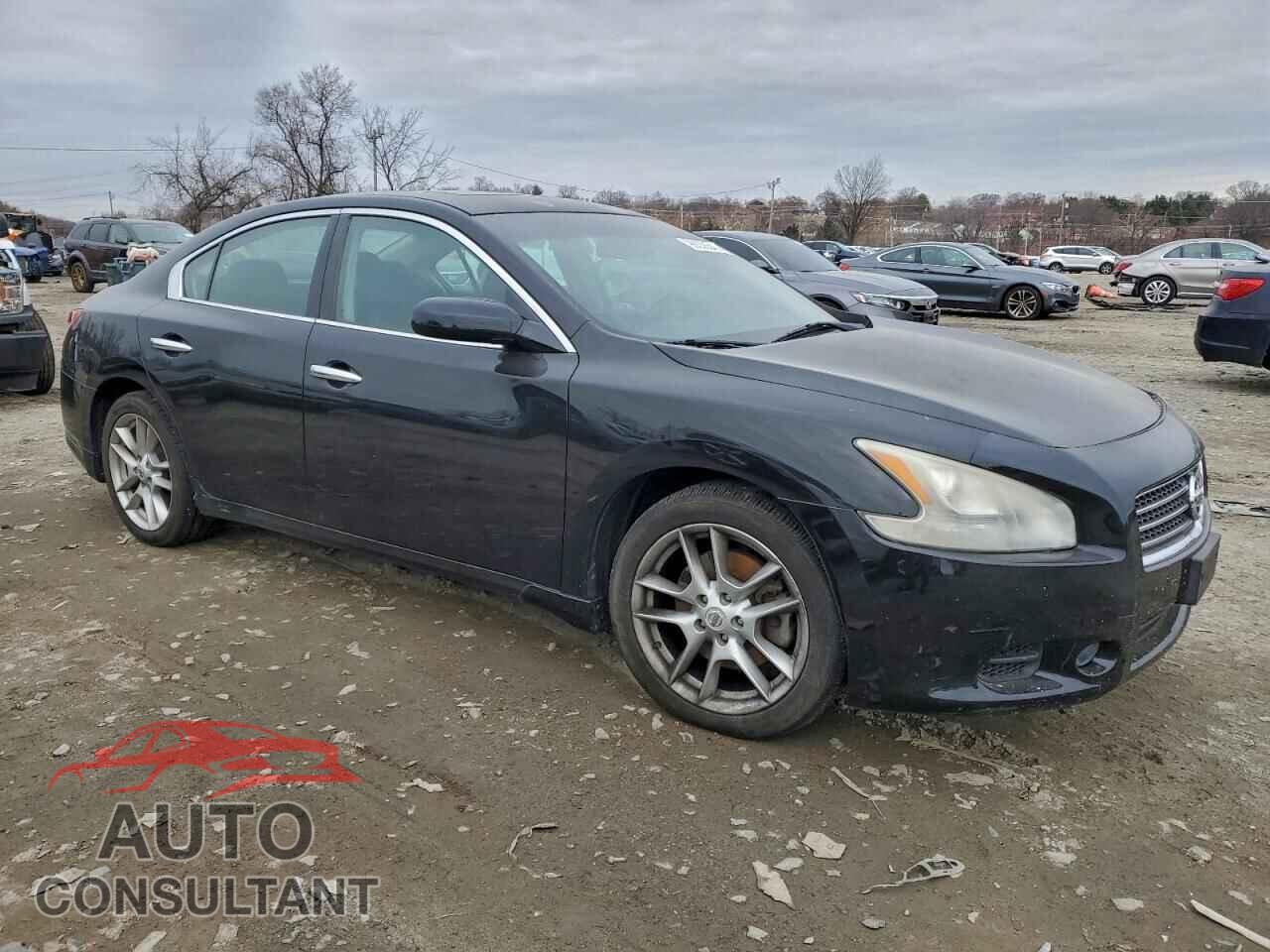 NISSAN MAXIMA 2010 - 1N4AA5AP2AC855461