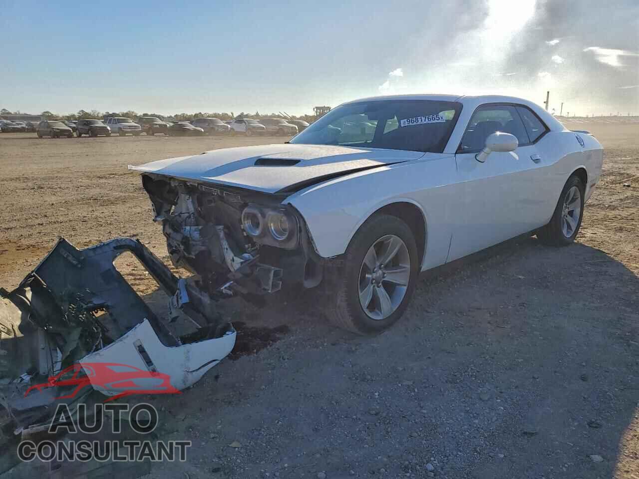 DODGE CHALLENGER 2019 - 2C3CDZAG8KH731344