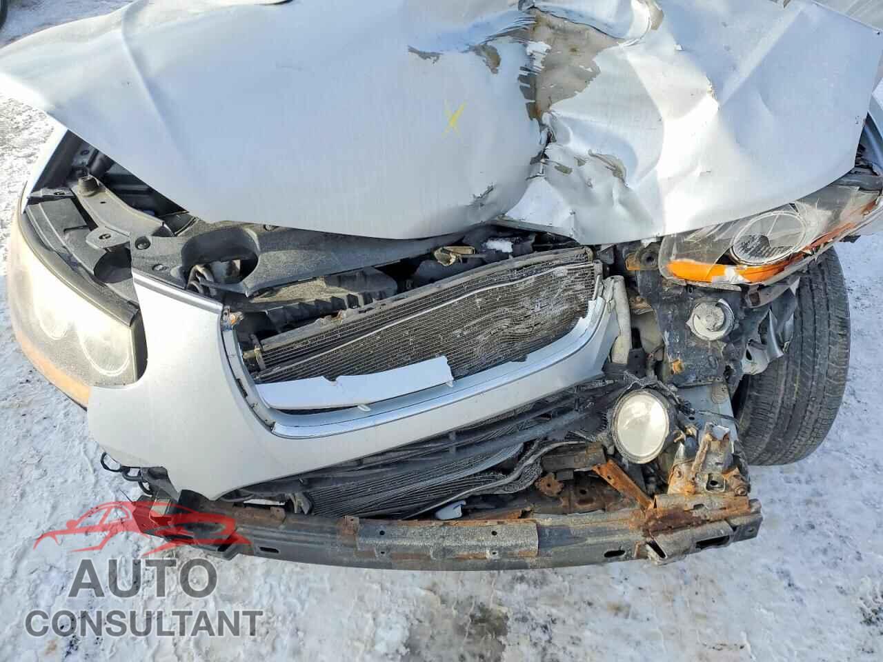 HYUNDAI SANTA FE 2010 - 5NMSGDAG2AH352702