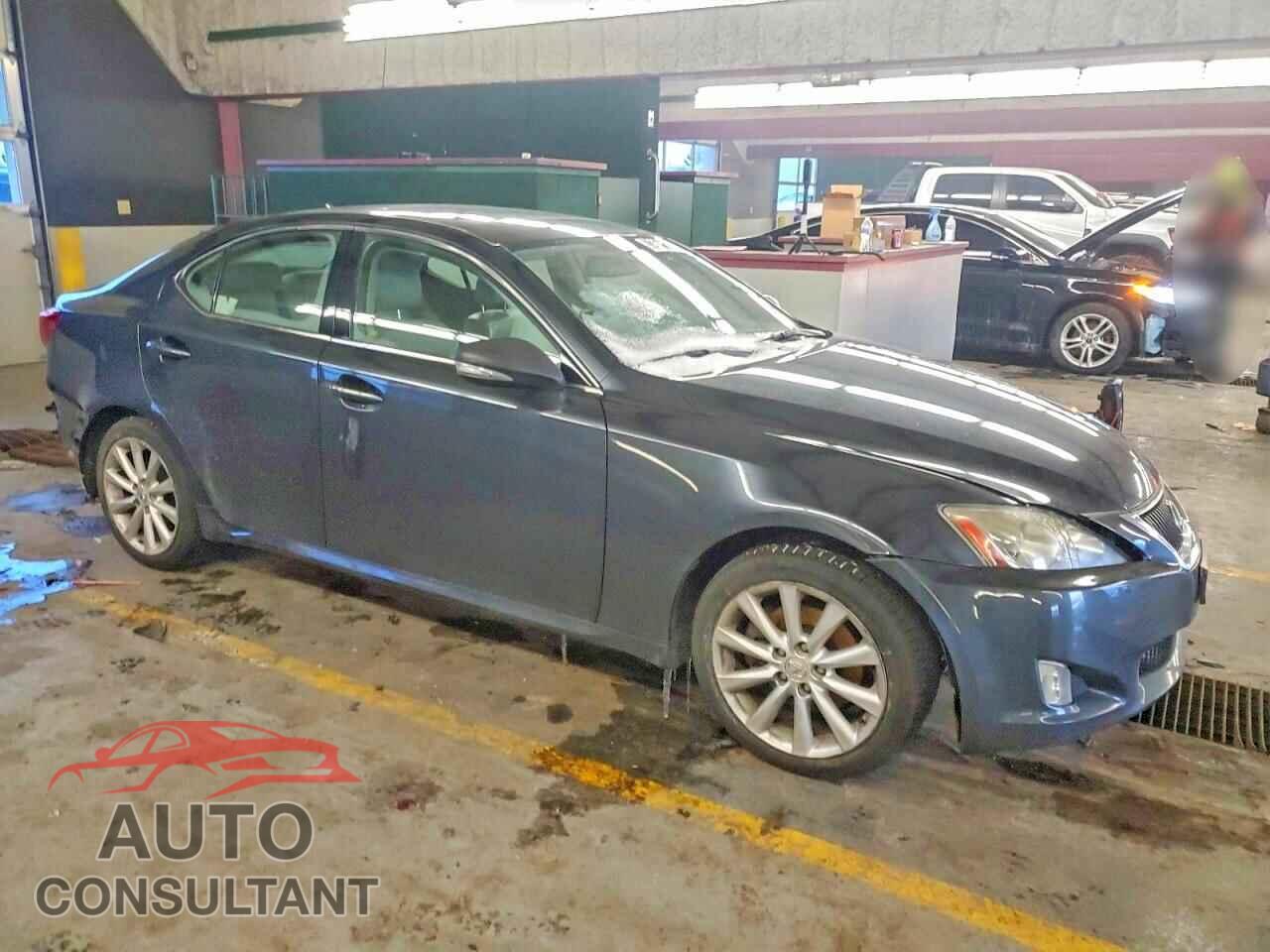 LEXUS IS 2009 - JTHCK262195029162