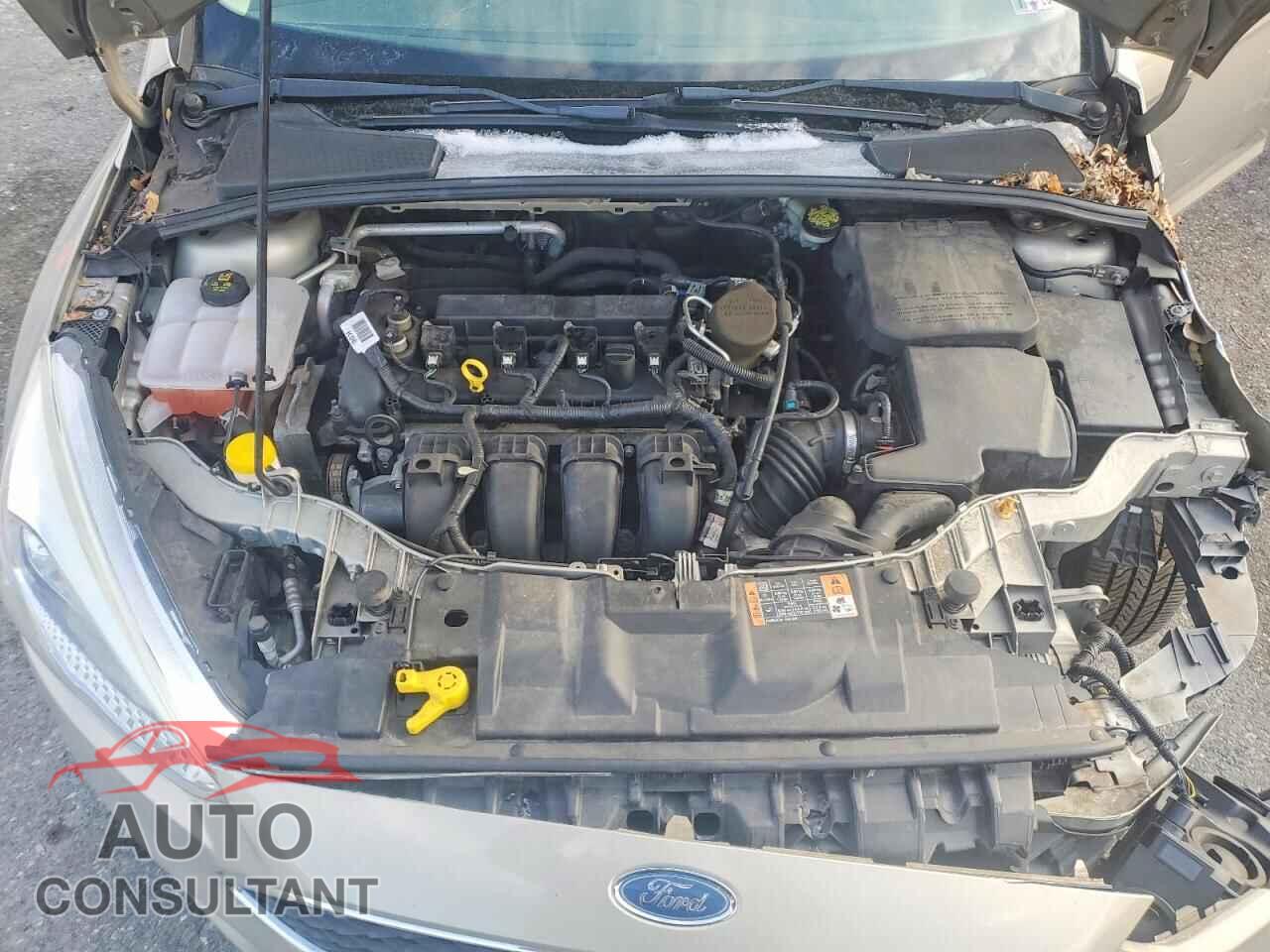 FORD FOCUS 2016 - 1FADP3F29GL206715