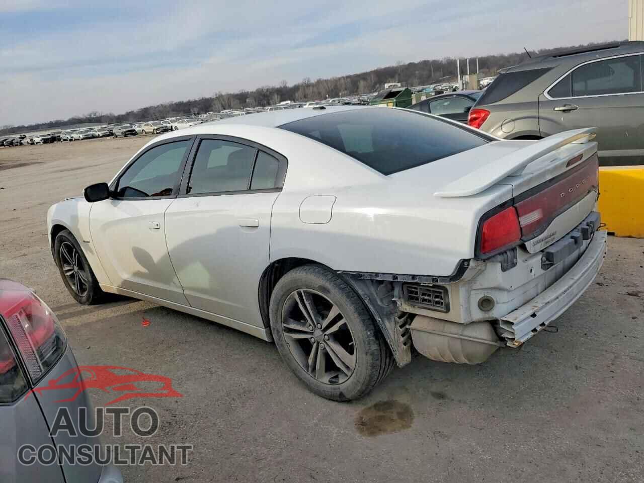 DODGE CHARGER 2014 - 2C3CDXDT2EH330535