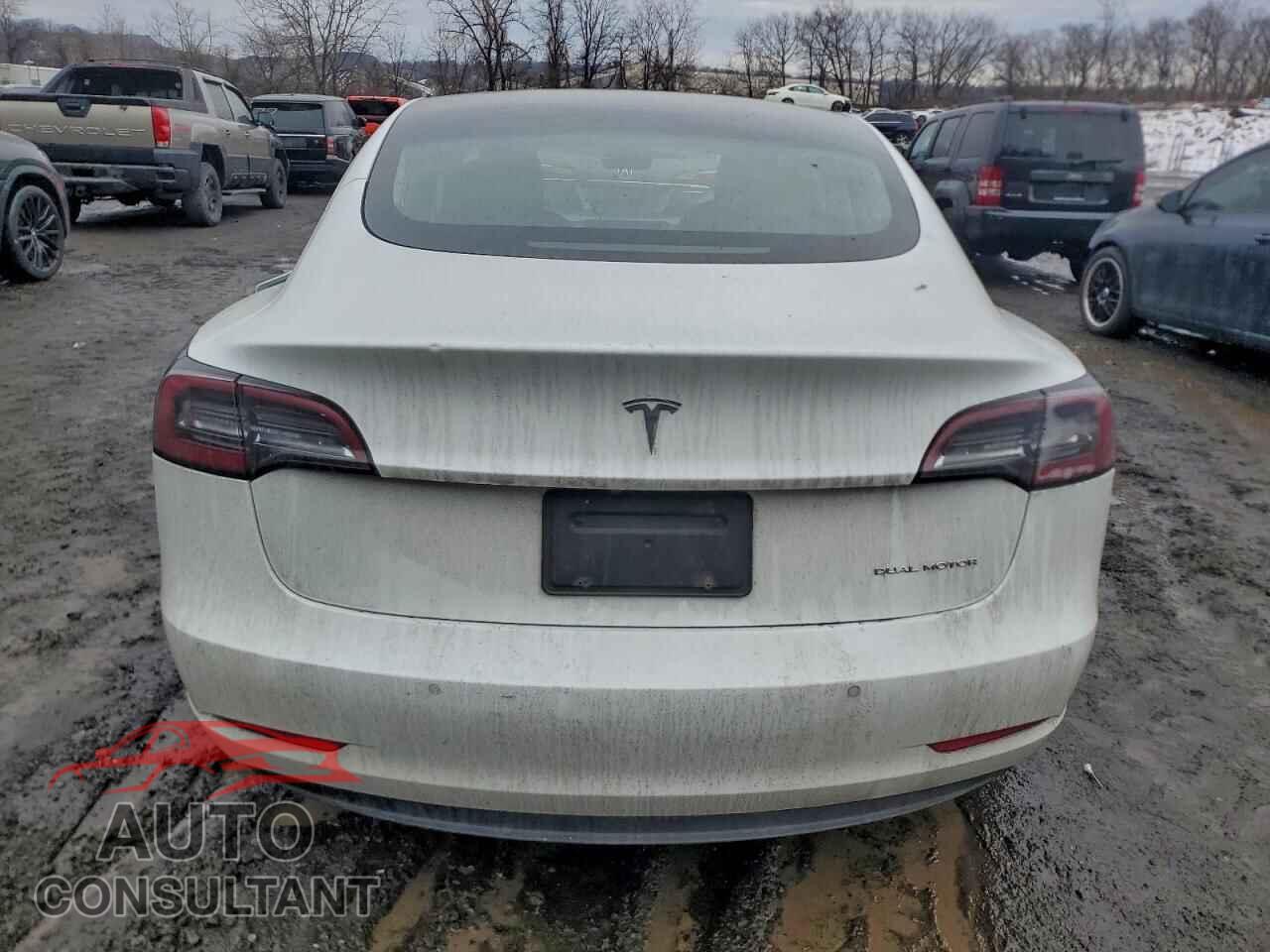 TESLA MODEL 3 2020 - 5YJ3E1EB5LF793686