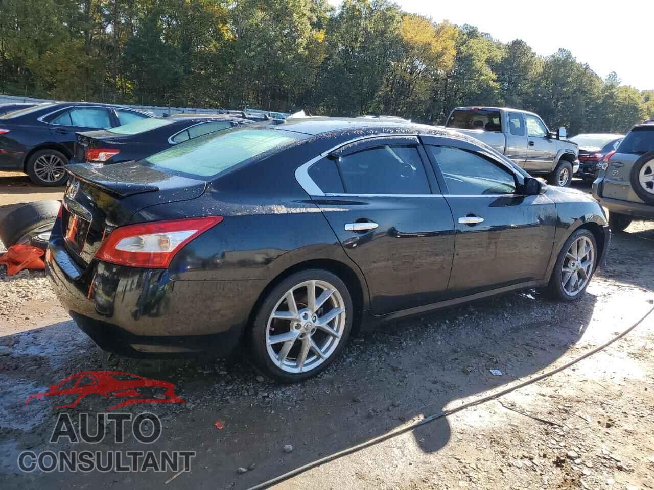 NISSAN MAXIMA 2009 - 1N4AA51E59C810637