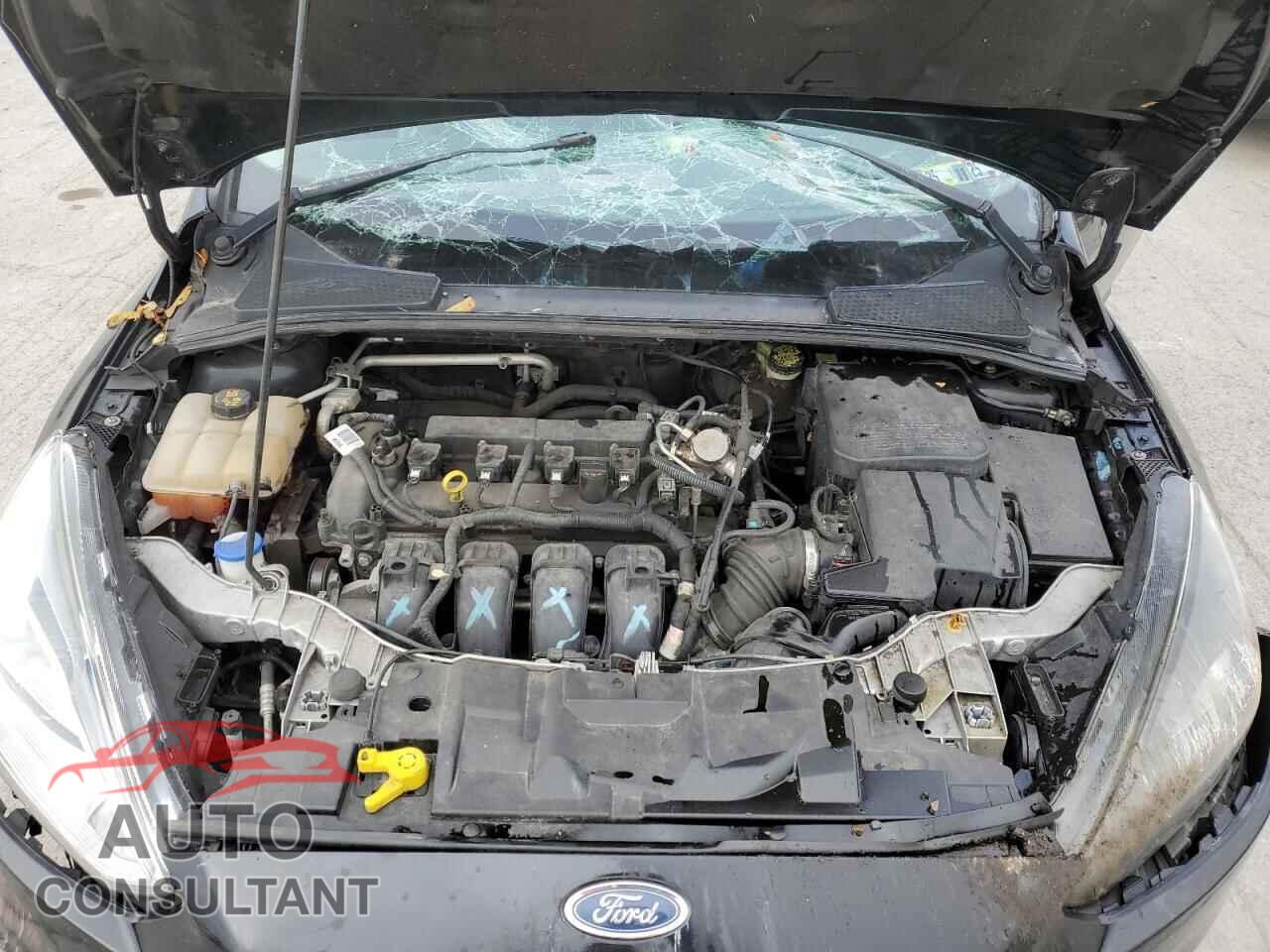 FORD FOCUS 2016 - 1FADP3F22GL343334