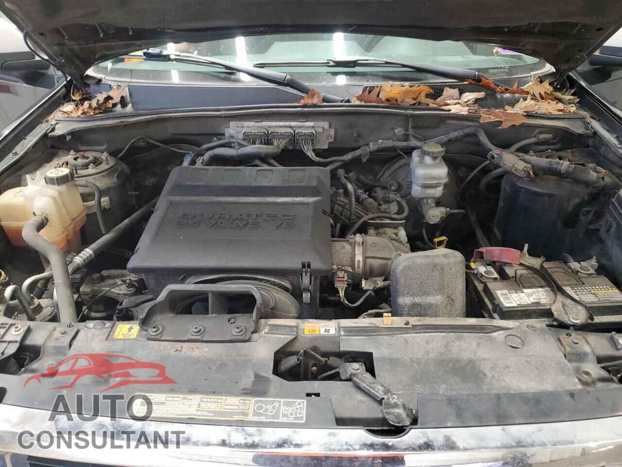 FORD ESCAPE 2012 - 1FMCU9DG5CKA02036