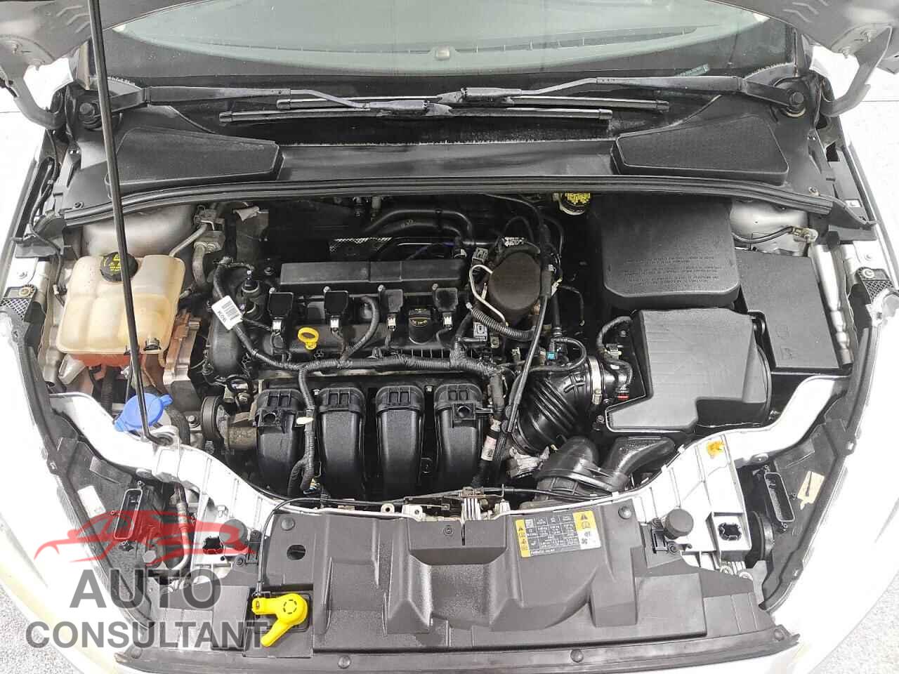 FORD FOCUS 2016 - 1FADP3F24GL262464