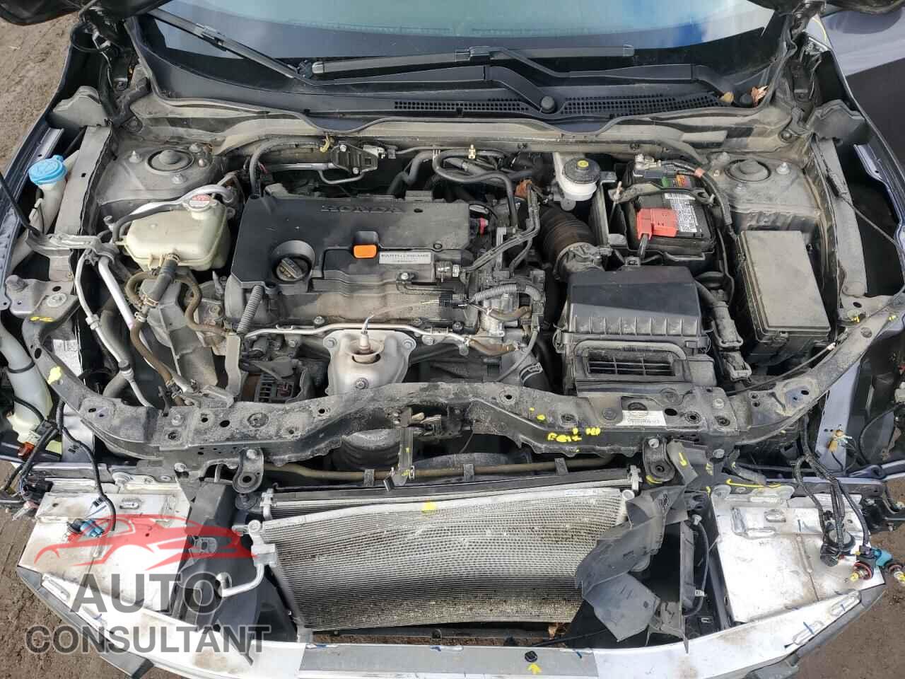 HONDA CIVIC 2021 - 2HGFC2F64MH534064