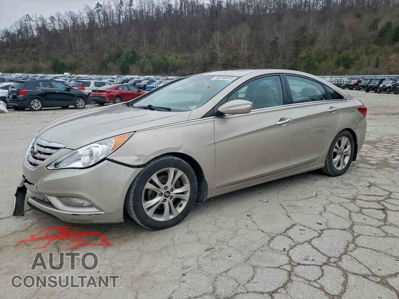 HYUNDAI SONATA 2011 - 5NPEC4AC5BH128429