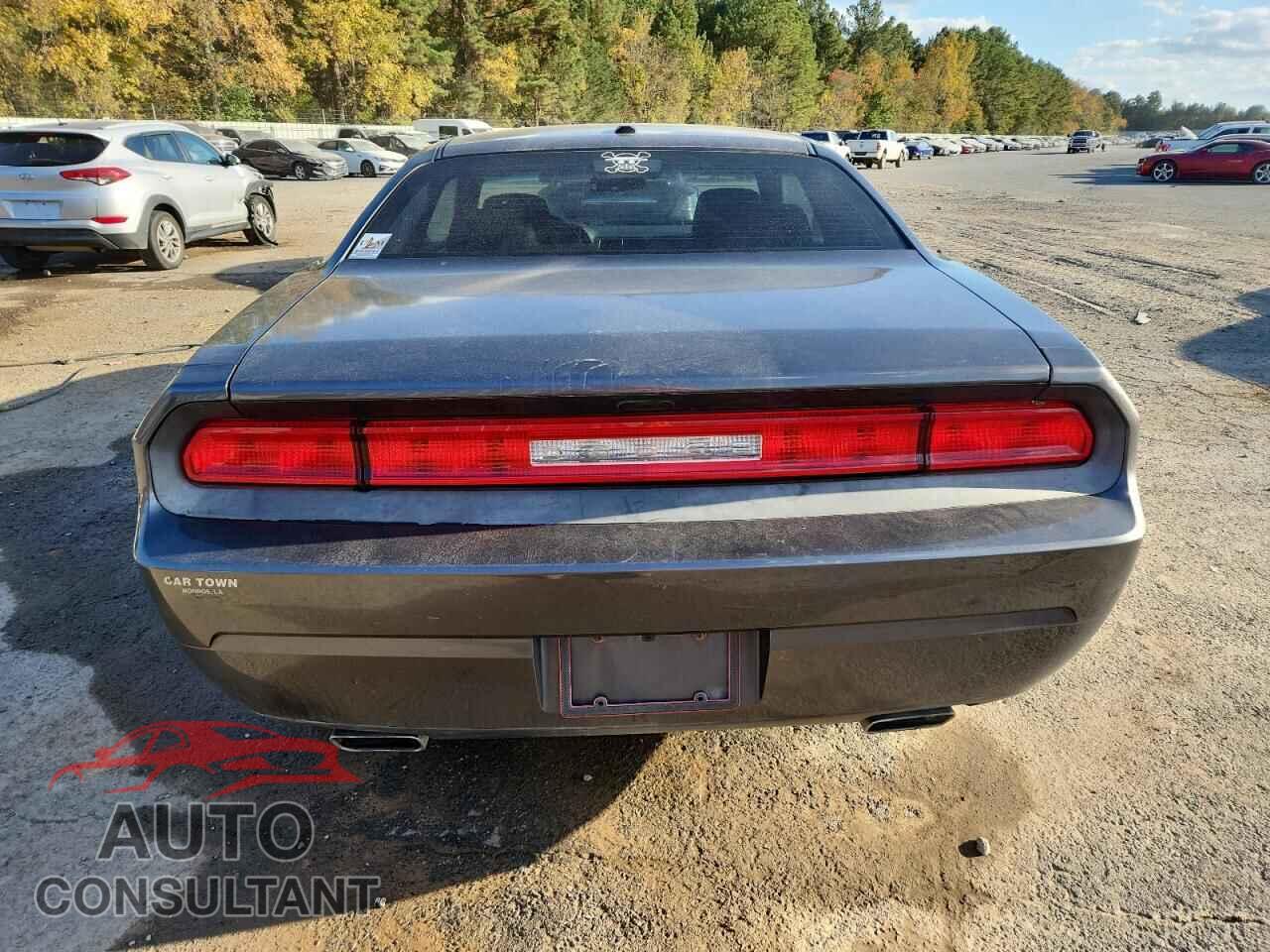 DODGE CHALLENGER 2014 - 2C3CDYAGXEH208910