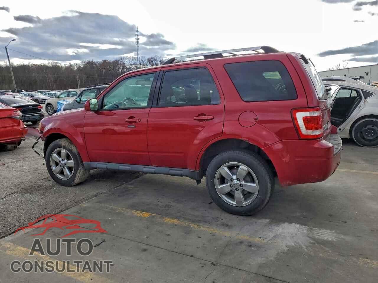 FORD ESCAPE 2011 - 1FMCU0EG0BKB96824