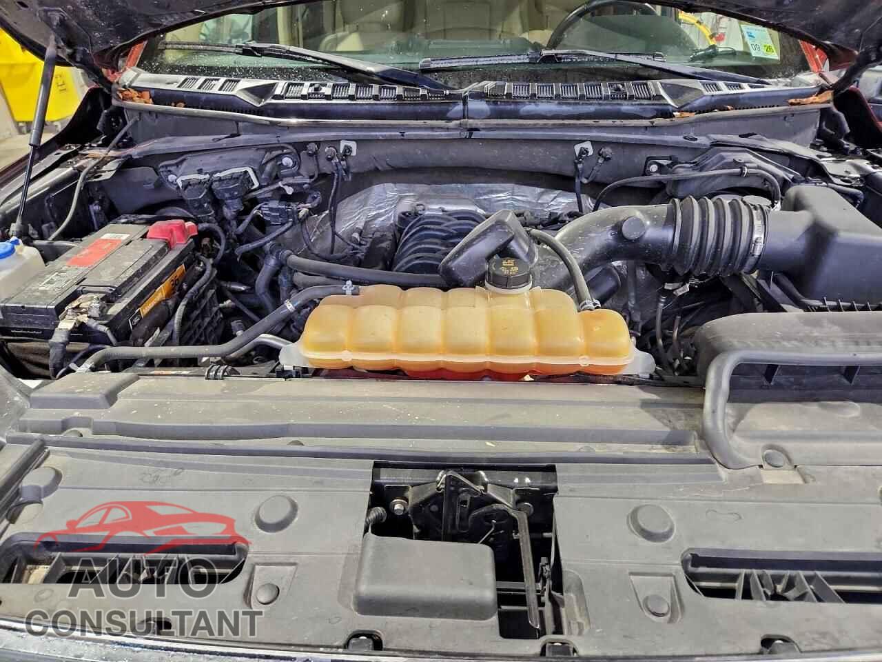 FORD F-150 2017 - 1FTEW1EF1HFC42599