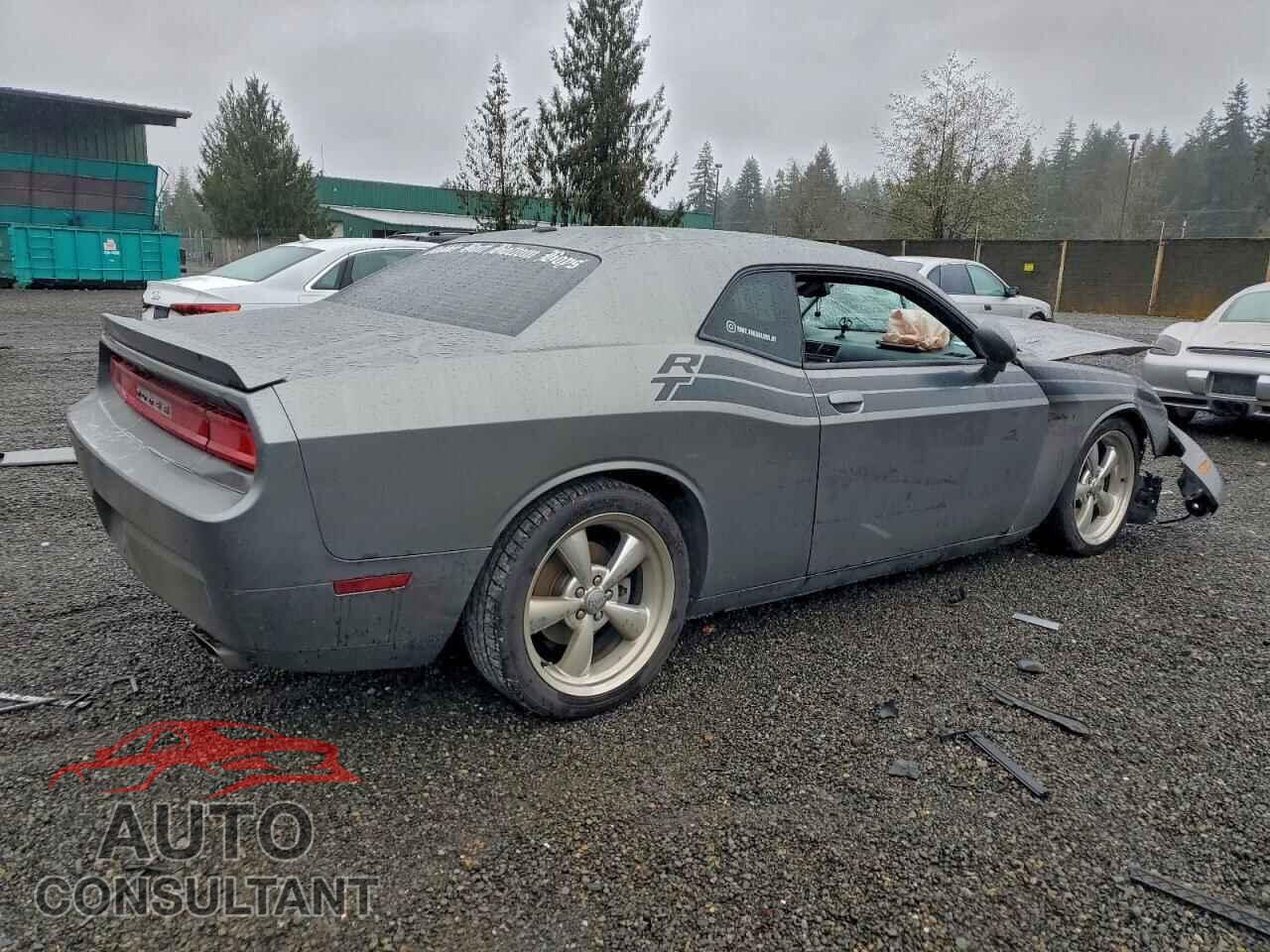 DODGE CHALLENGER 2012 - 2C3CDYBT0CH158219