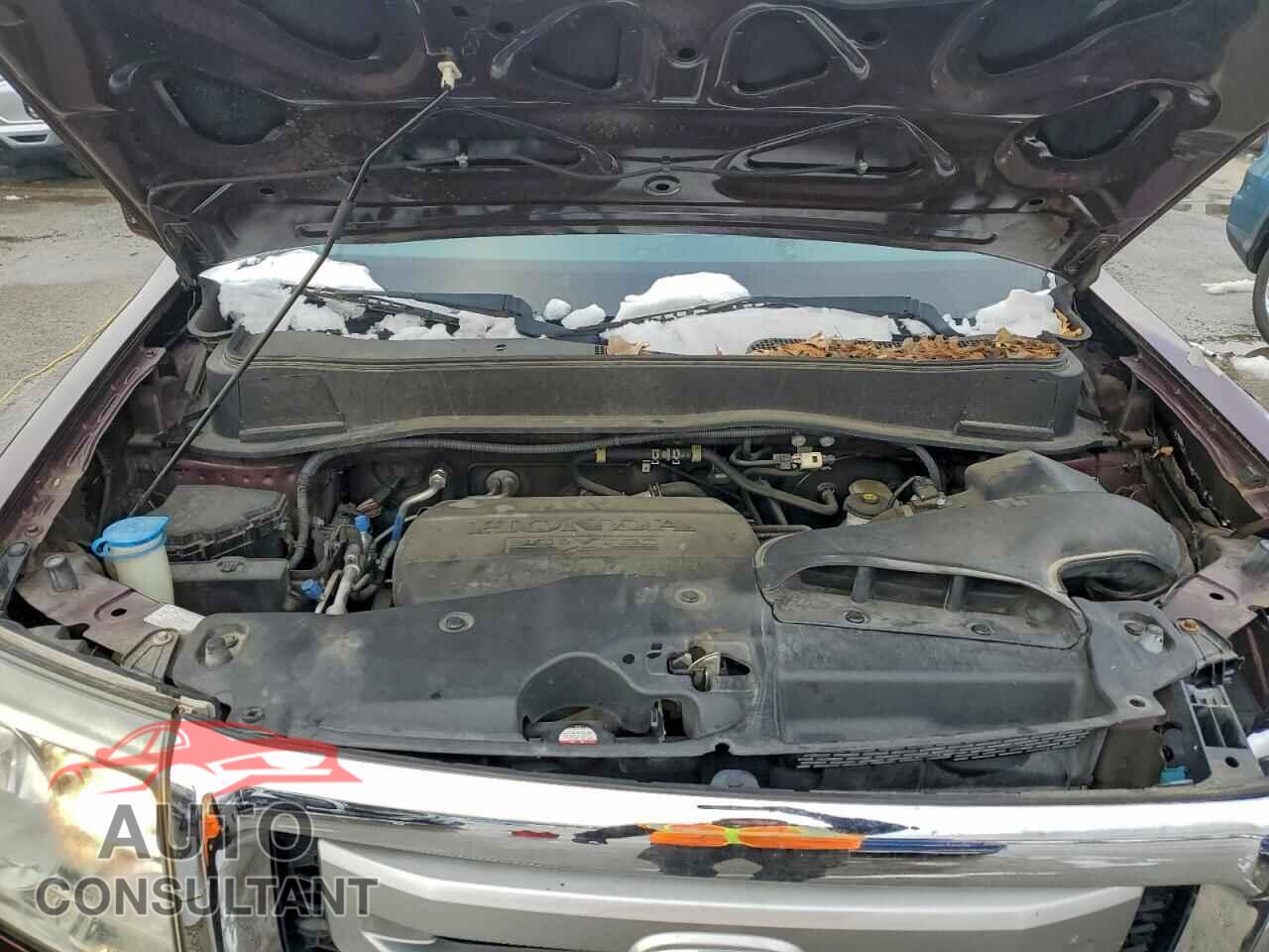 HONDA PILOT 2011 - 5FNYF4H59BB071520