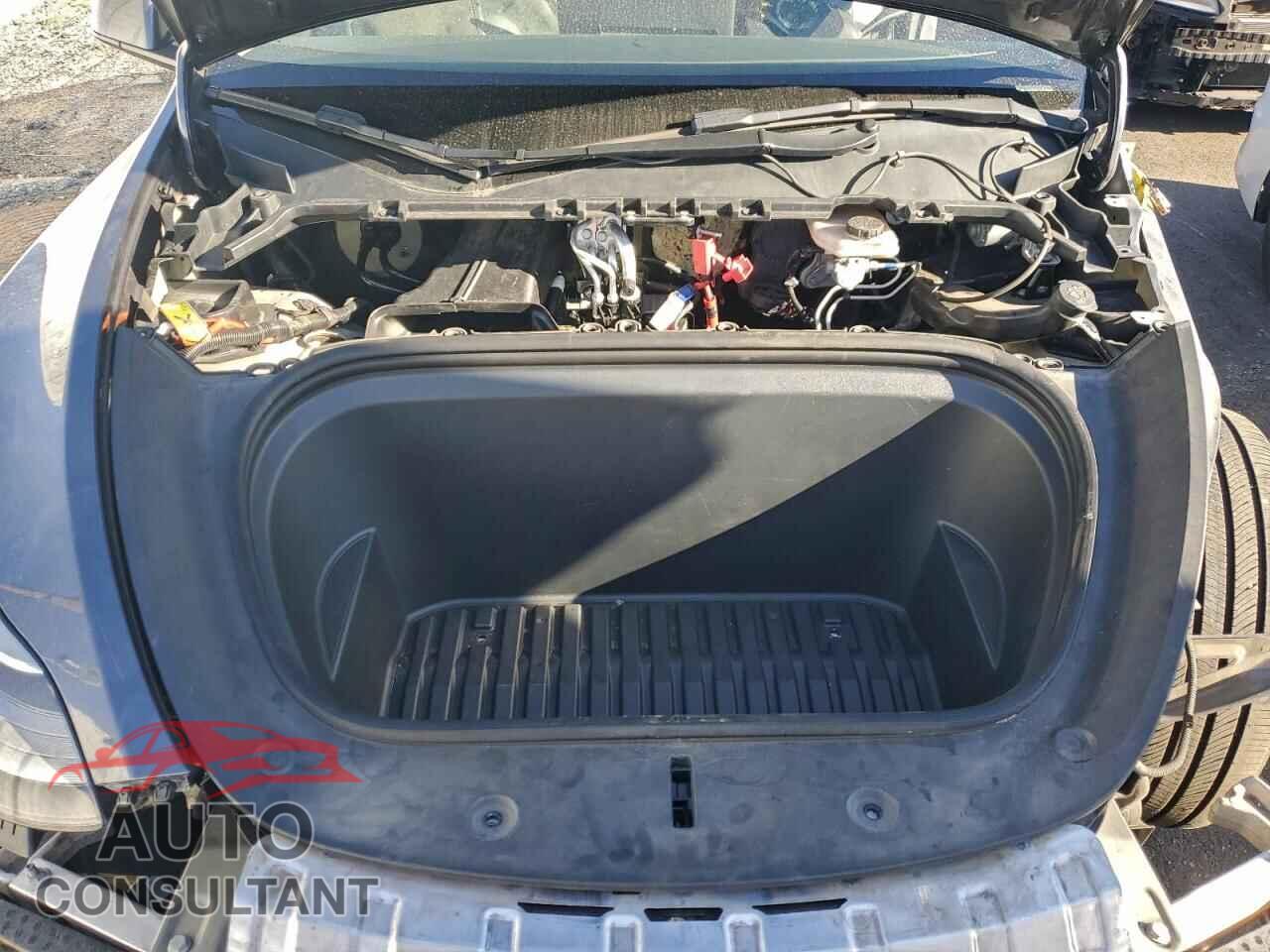TESLA MODEL Y 2022 - 7SAYGDEF4NF406507