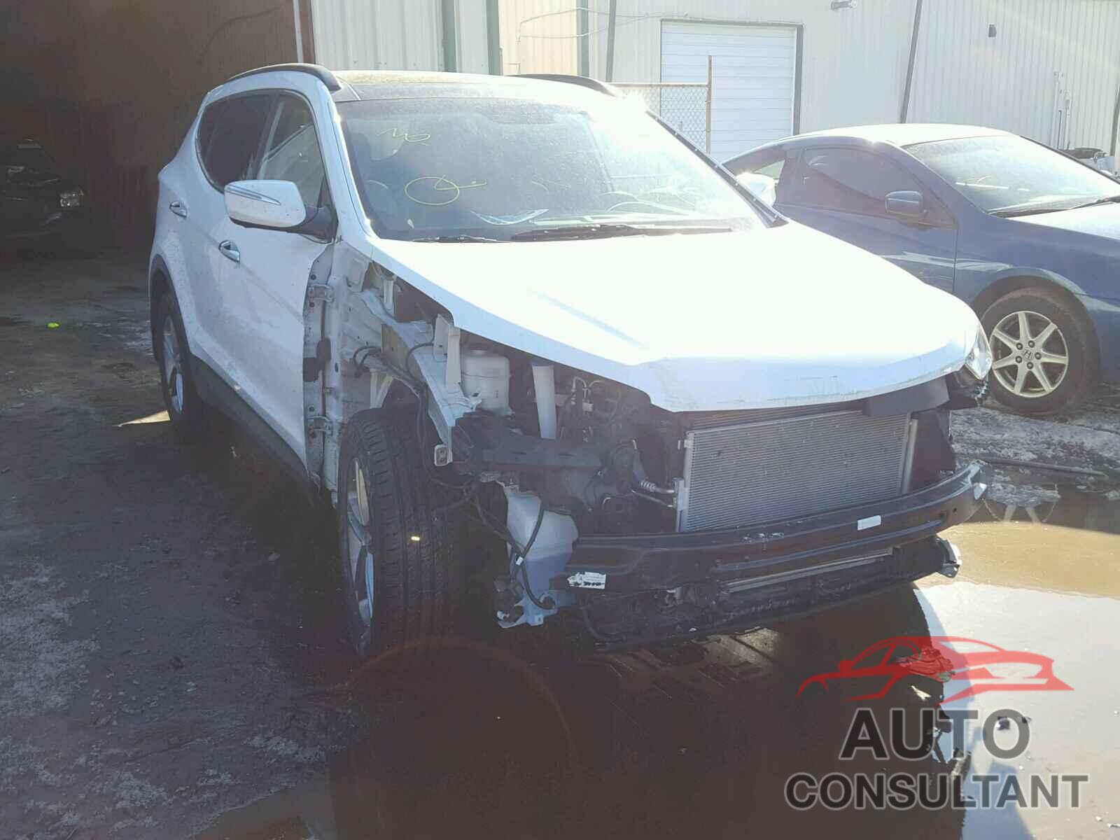 HYUNDAI SANTA FE 2017 - 5NMZUDLB9HH051766