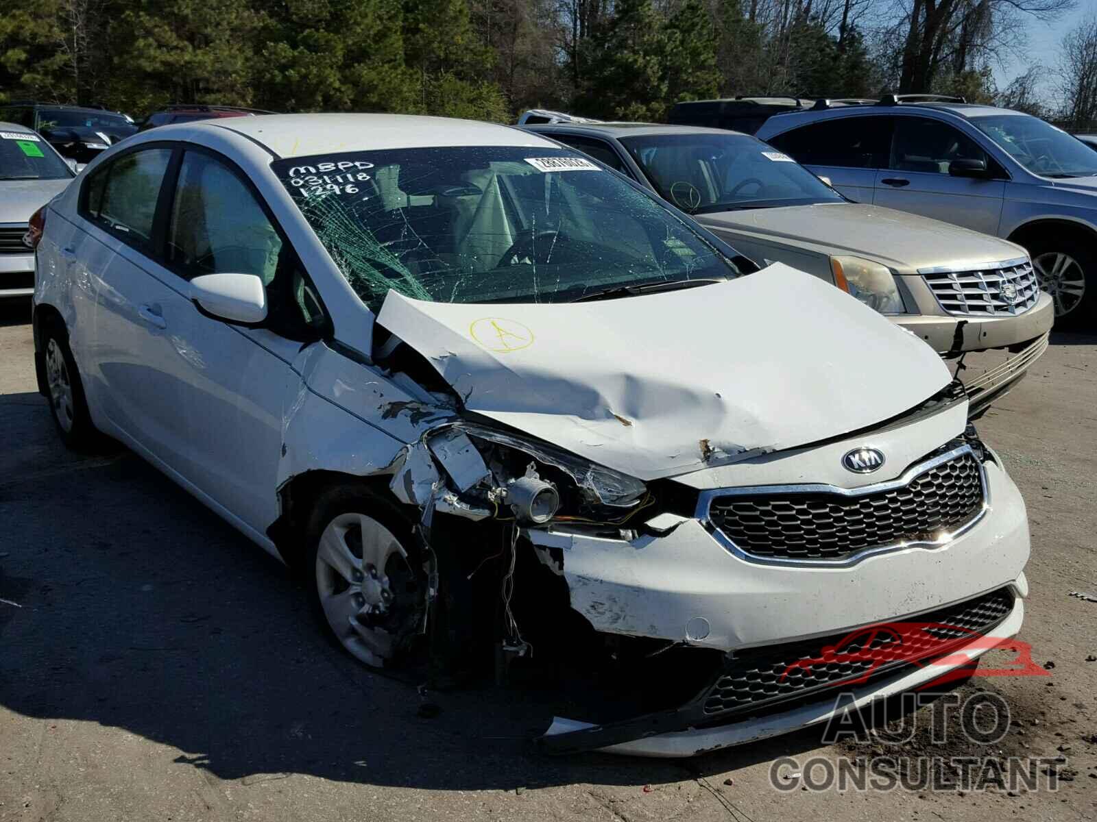 KIA FORTE 2016 - KNAFK4A66G5591296