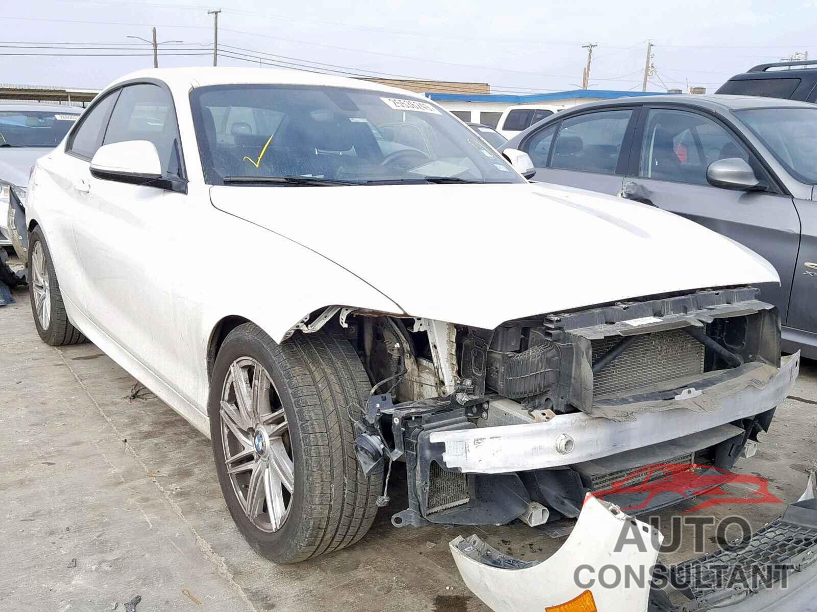 BMW 228 I 2014 - WBA1F5C56EV246002
