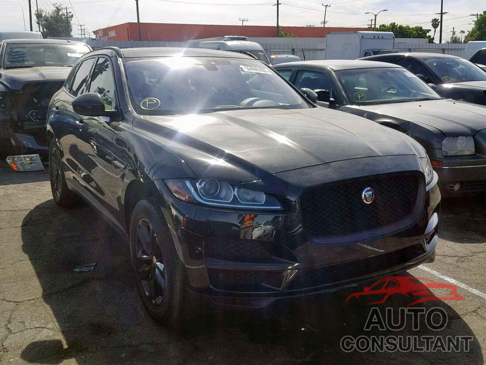 JAGUAR F-PACE PRE 2017 - JF2SJGWC2JH531317