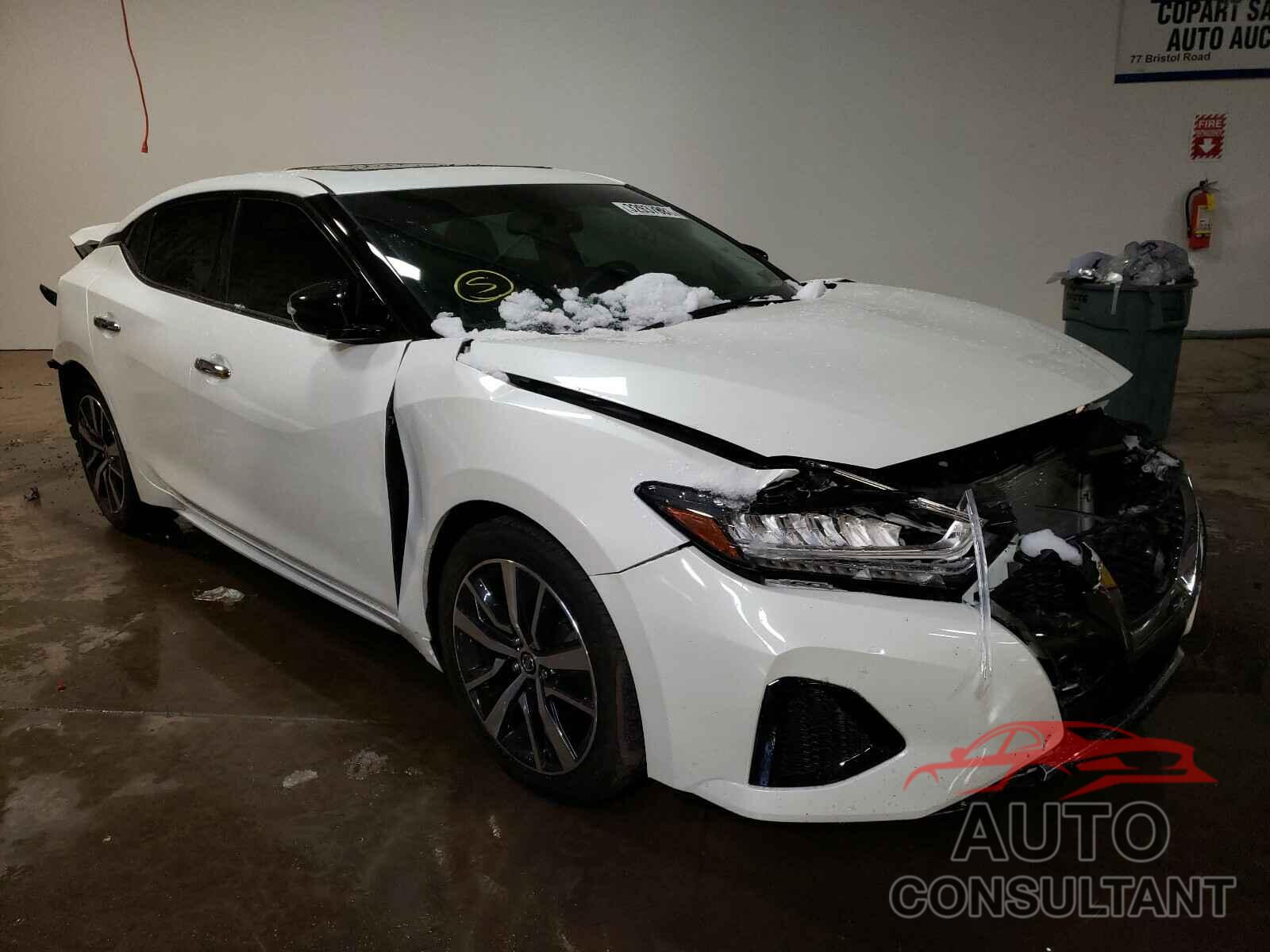 NISSAN MAXIMA 2019 - 1N4AA6AV8KC367511