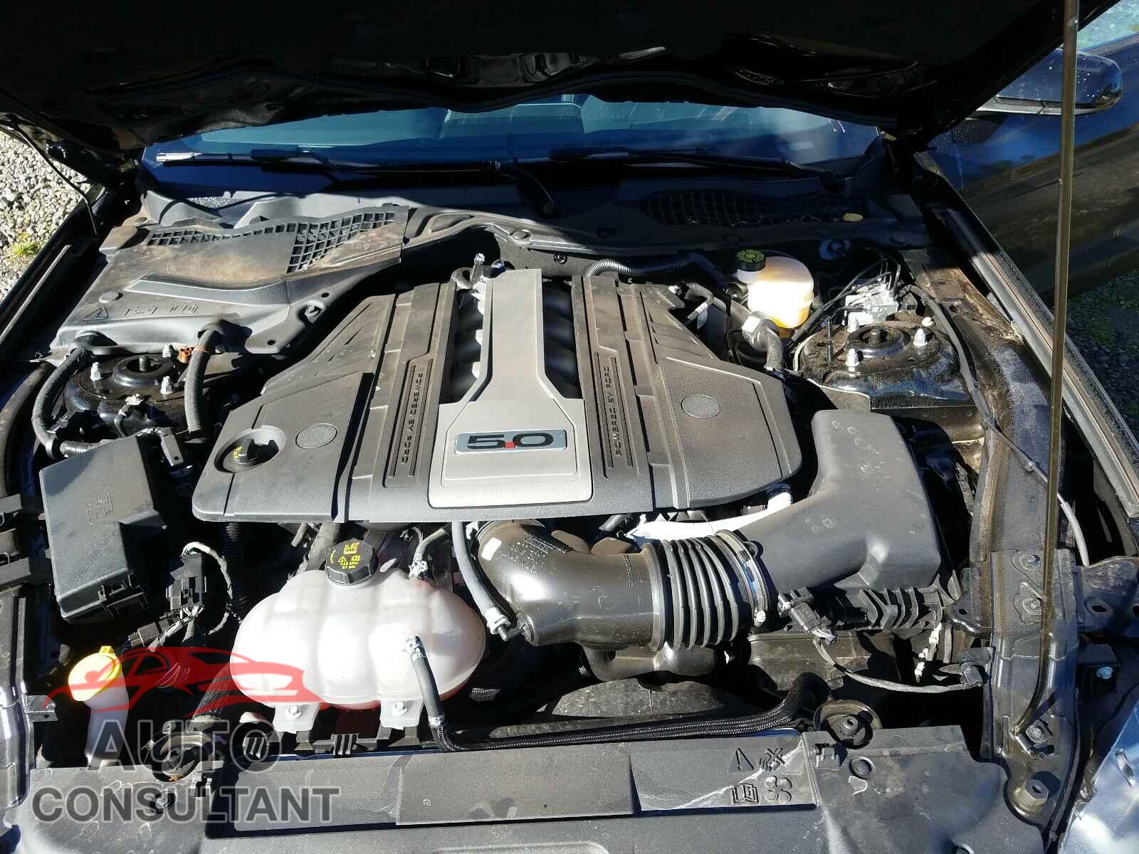 FORD MUSTANG 2019 - 1FA6P8CFXK5143991