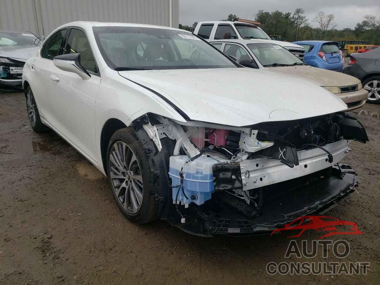 LEXUS ES300 2019 - JTHB21B12K2045235