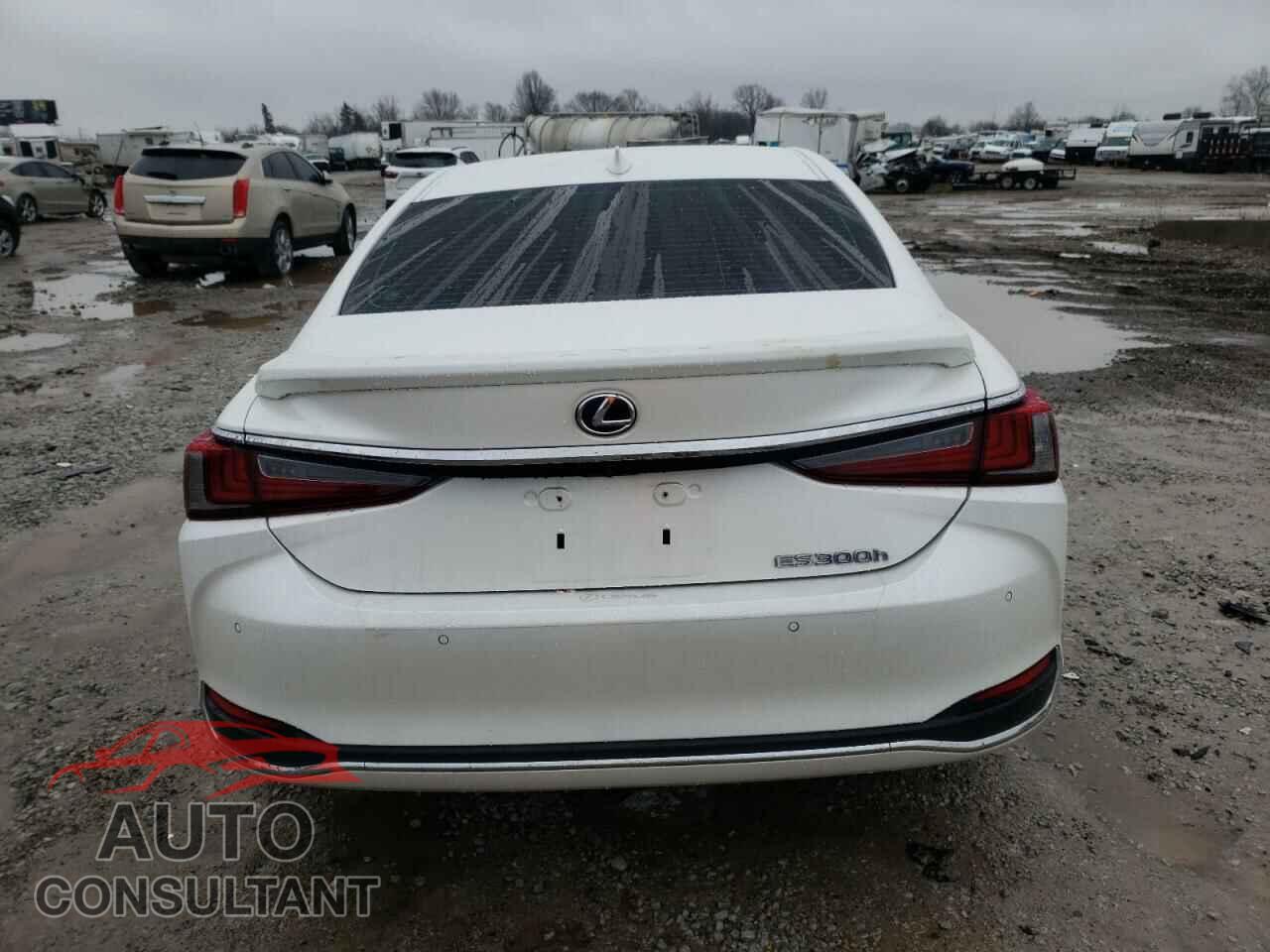 LEXUS ES300 2020 - 58AD21B1XLU005683