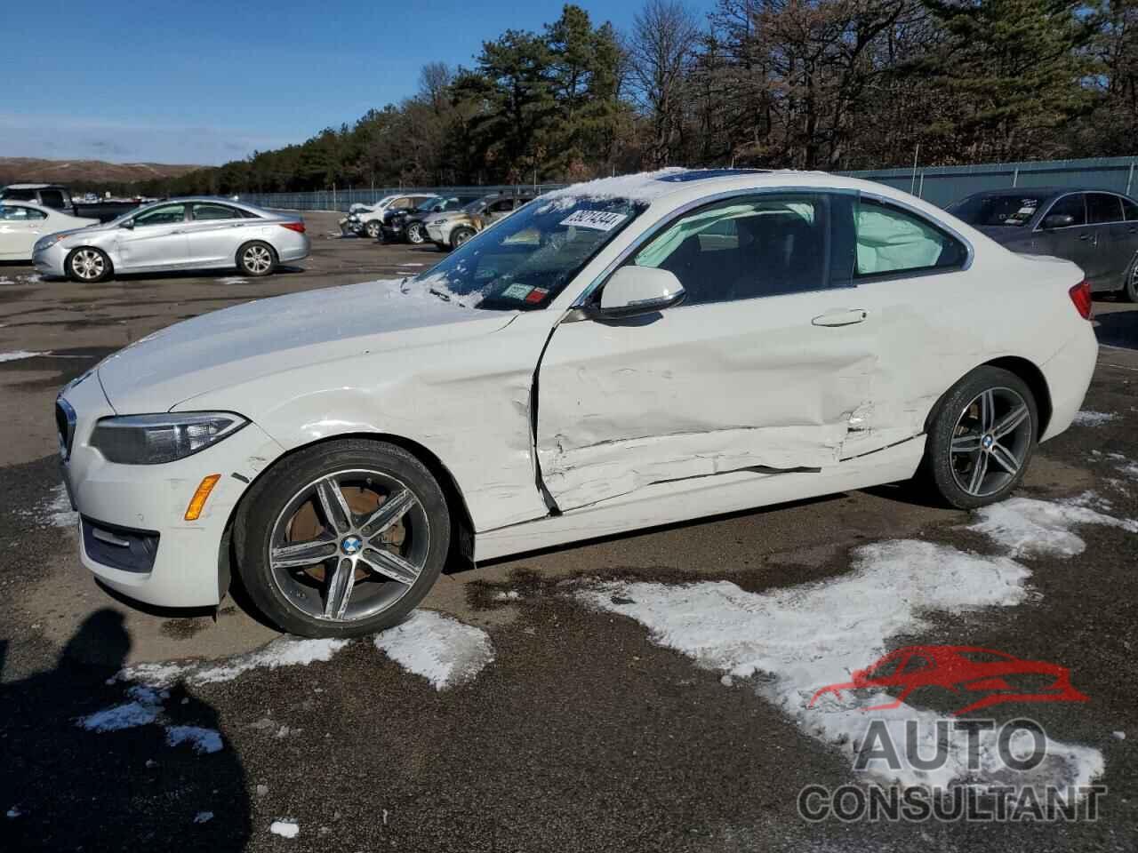 BMW 2 SERIES 2017 - WBA2H9C39HV642563