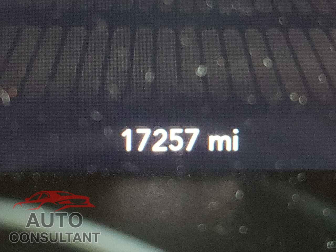 DODGE CHALLENGER 2019 - 2C3CDZAG0KH507517