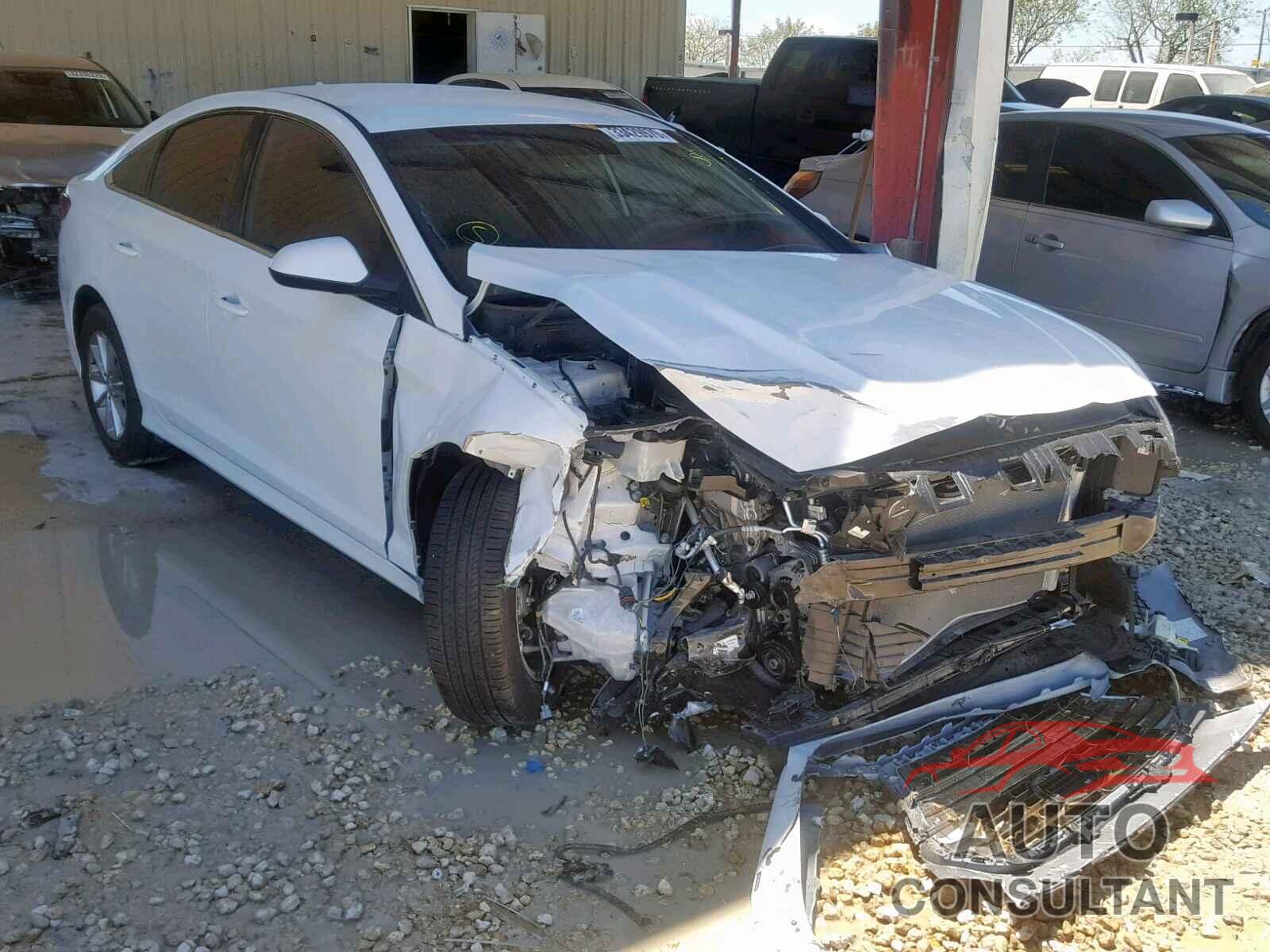 HYUNDAI SONATA 2019 - 4T1BF1FK4HU430569