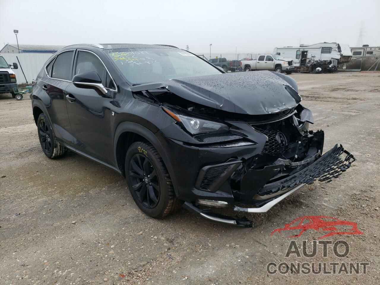 LEXUS NX 2018 - JTJYARBZ5J2091818