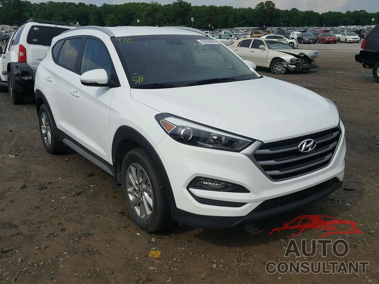 HYUNDAI TUCSON 2017 - KM8J33A43HU561999