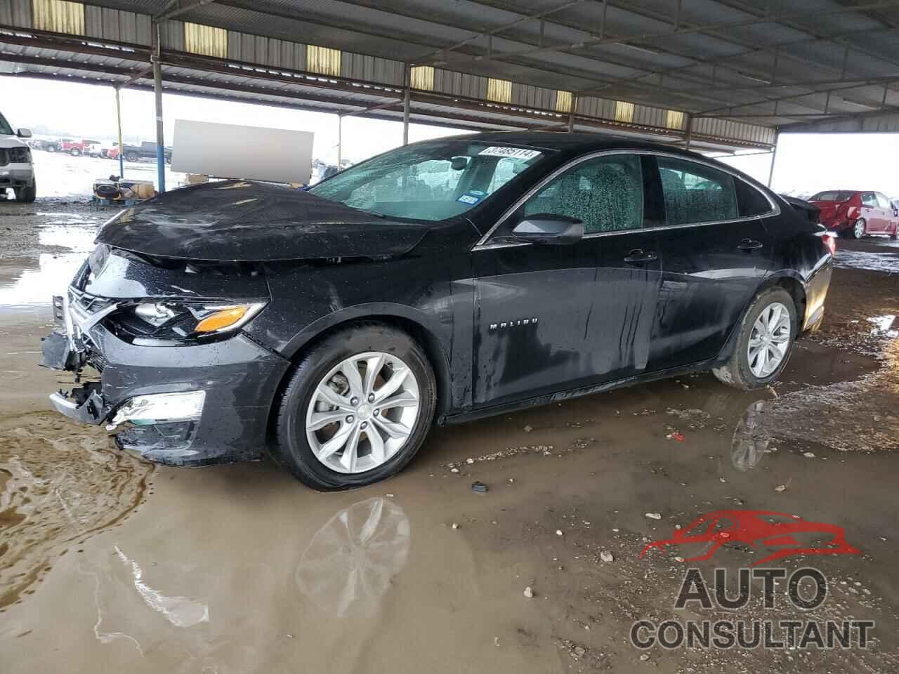 CHEVROLET MALIBU 2019 - 1G1ZD5ST6KF169299