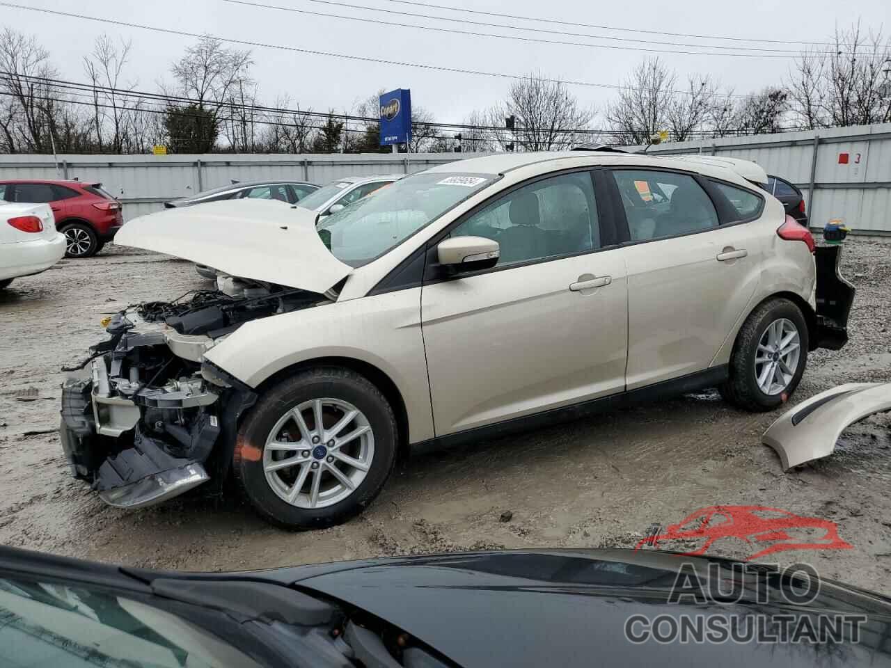 FORD FOCUS 2017 - 1FADP3K27HL345975