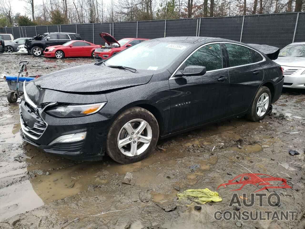 CHEVROLET MALIBU 2024 - 1G1ZB5ST3RF105088