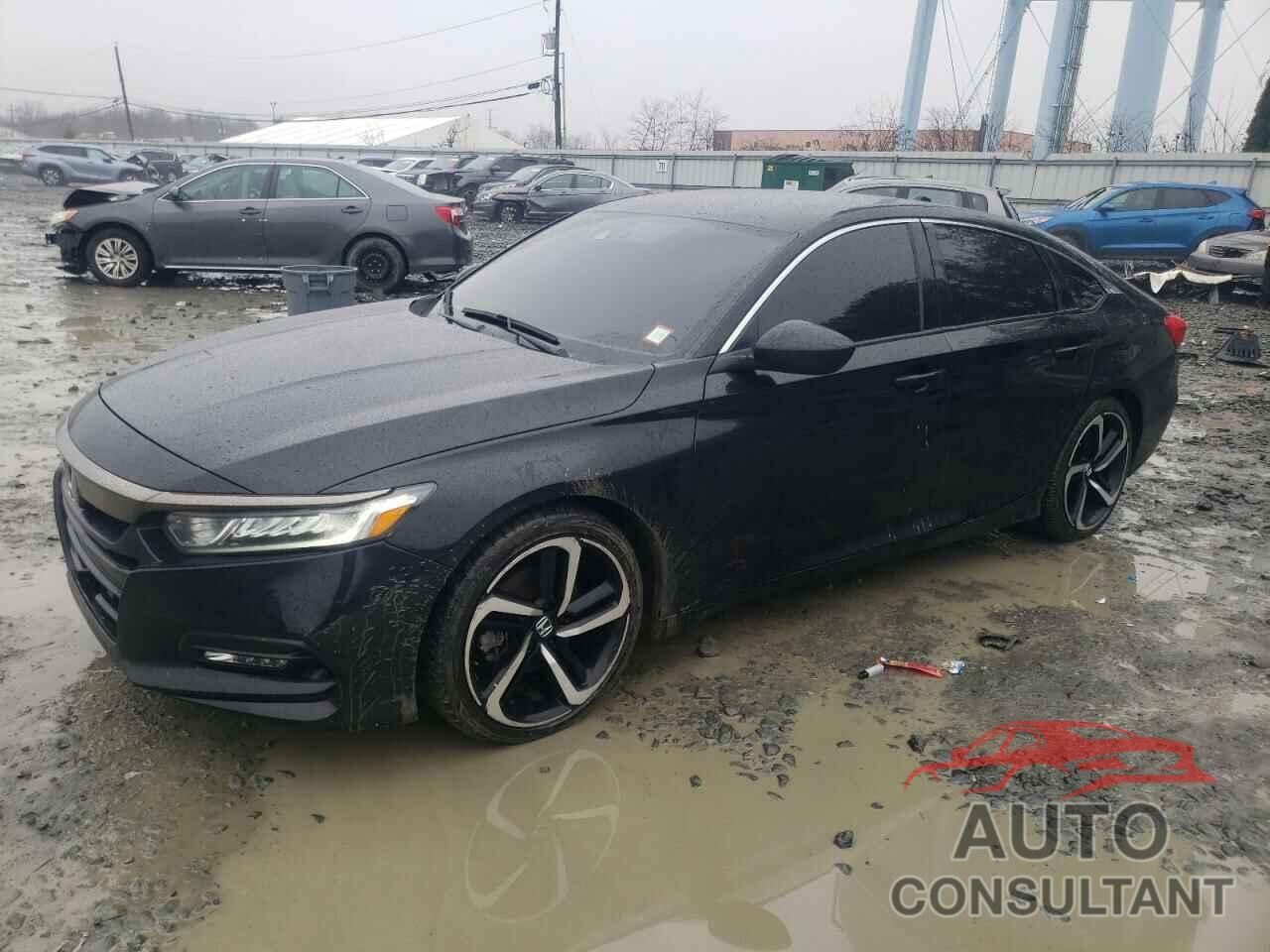 HONDA ACCORD 2019 - 1HGCV1F33KA010042