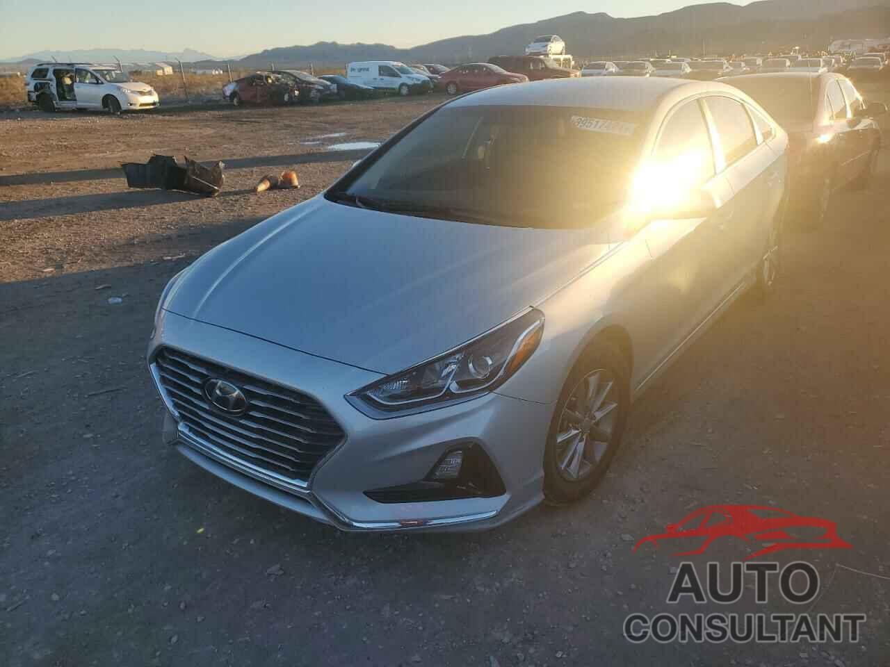 HYUNDAI SONATA 2019 - 5NPE24AF4KH783906