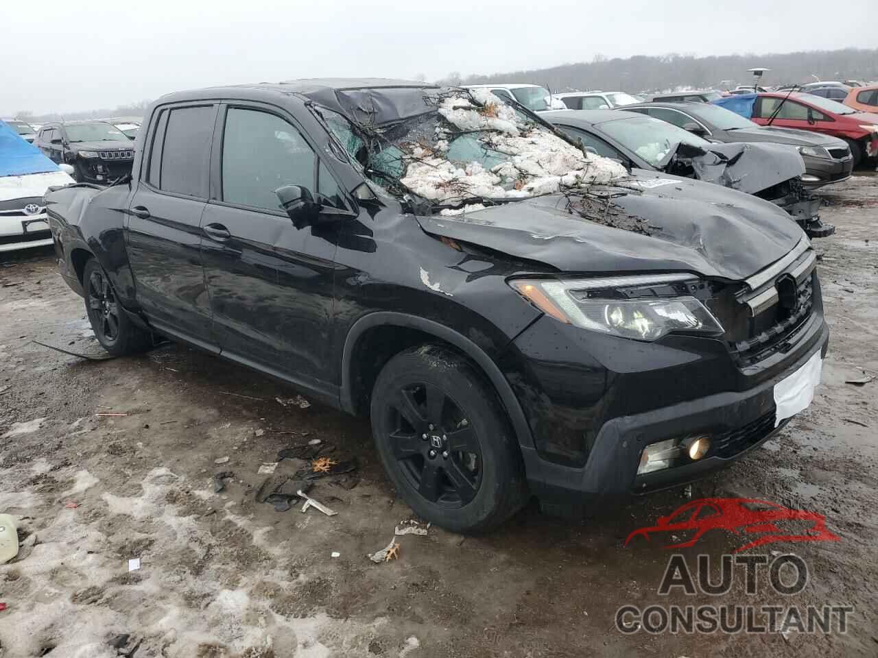 HONDA RIDGELINE 2019 - 5FPYK3F83KB038541