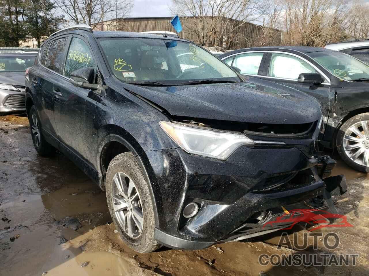 TOYOTA RAV4 2016 - 2T3RFREV0GW447397