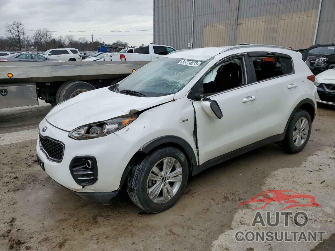 KIA SPORTAGE 2017 - KNDPMCAC8H7134948