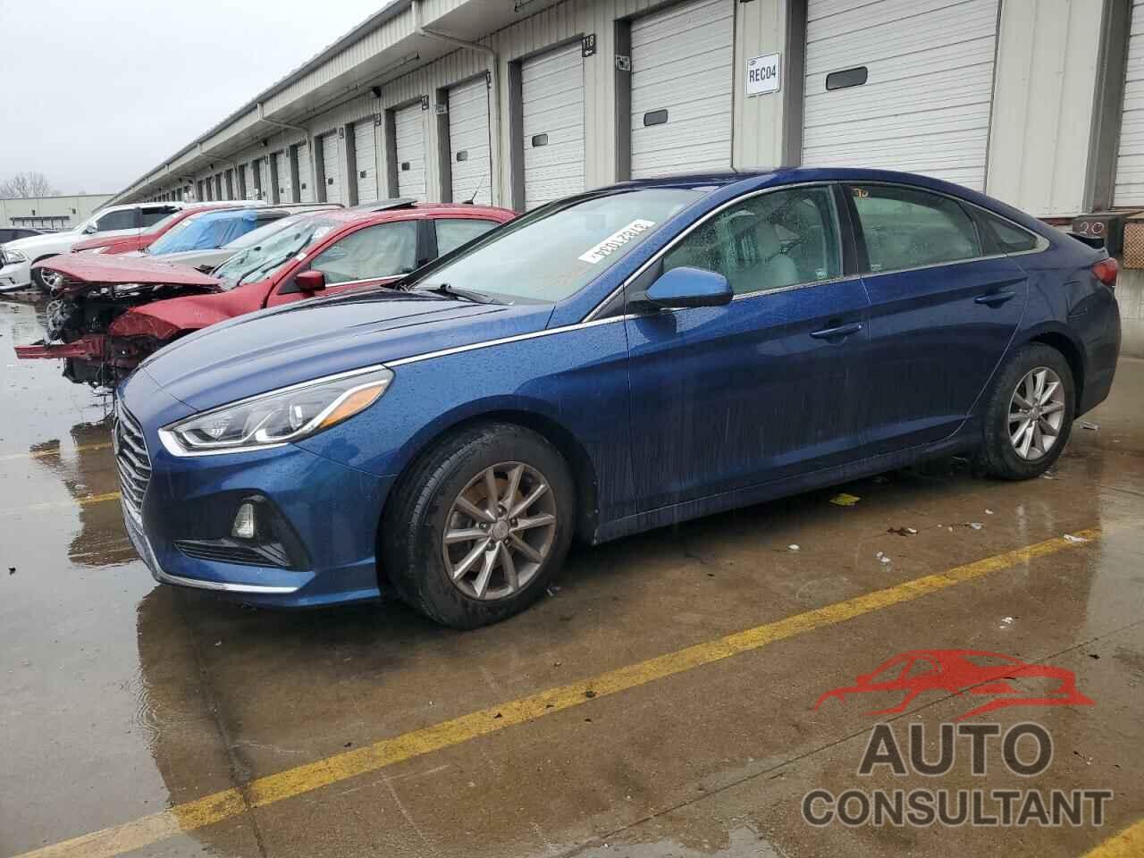 HYUNDAI SONATA 2019 - 5NPE24AF8KH732487