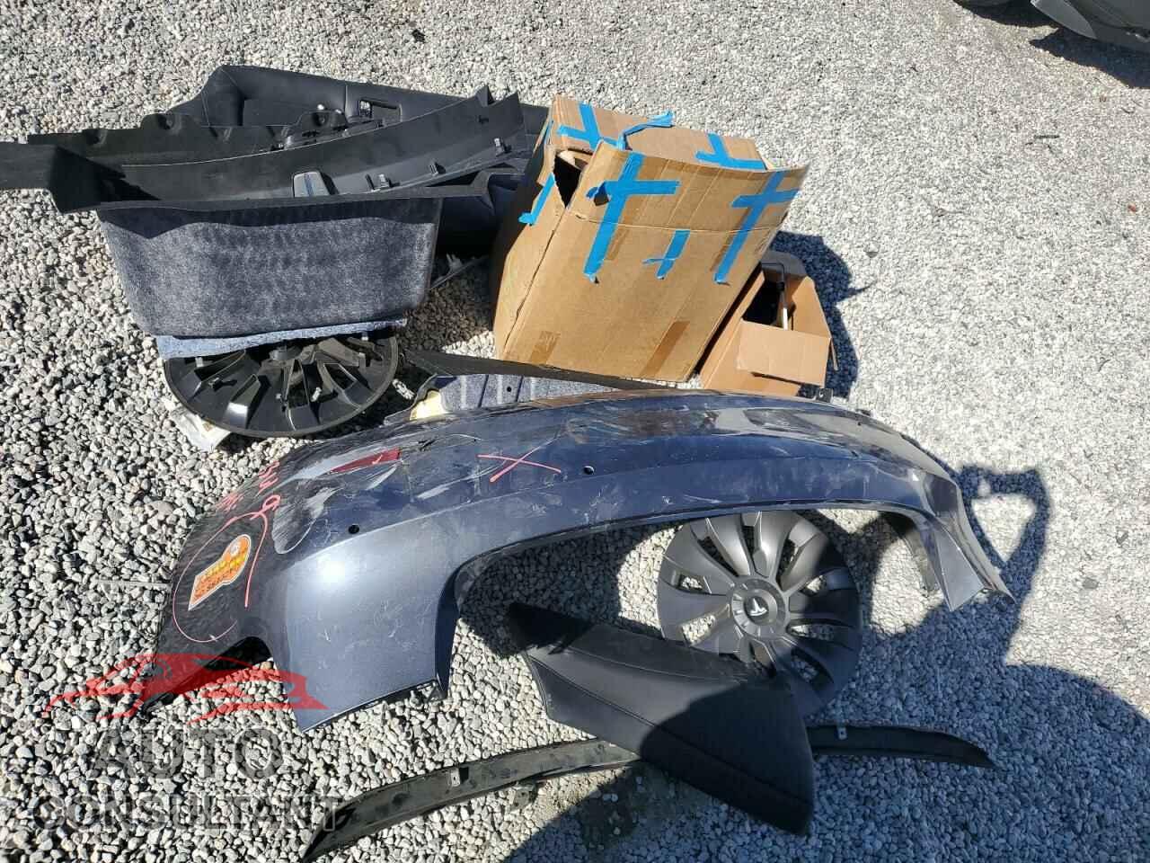 TESLA MODEL 3 2021 - 5YJ3E1EA3MF017419