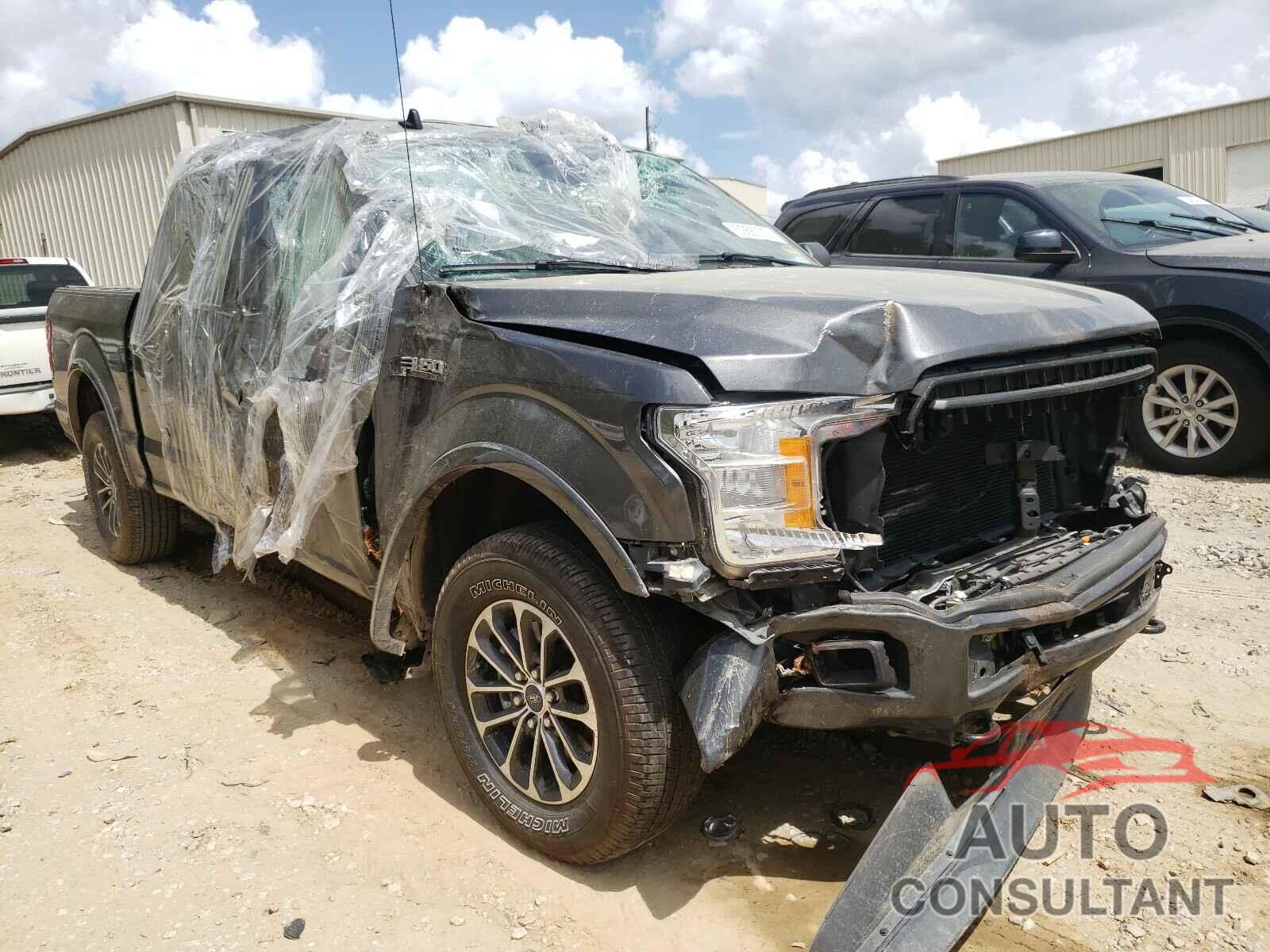 FORD F150 2019 - 1FTEW1EP0KKC68425