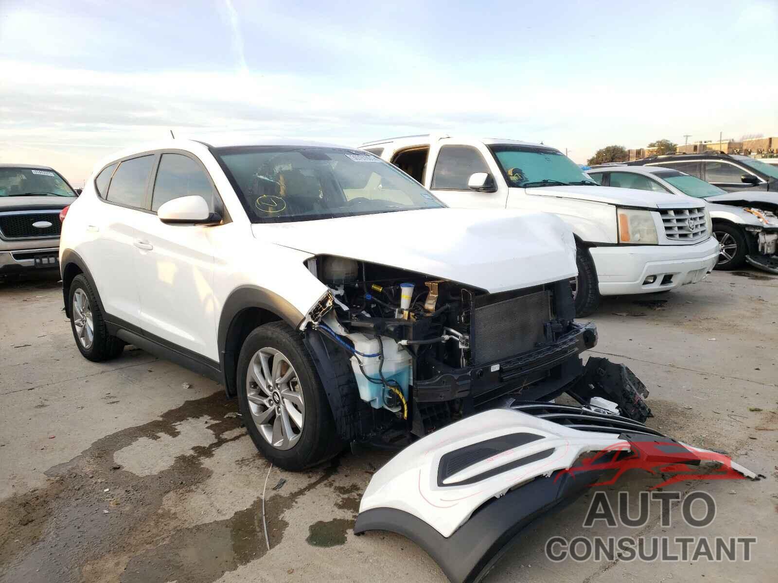 HYUNDAI TUCSON 2017 - KM8J23A41HU569330