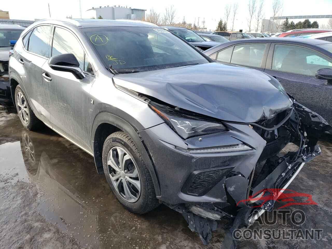 LEXUS NX 2019 - JTJBARBZ5K2198598