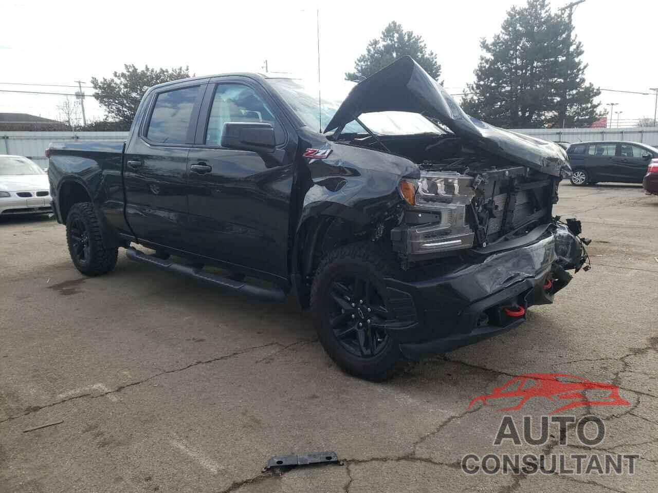 CHEVROLET SILVERADO 2020 - 3GCPYFEL3LG368587