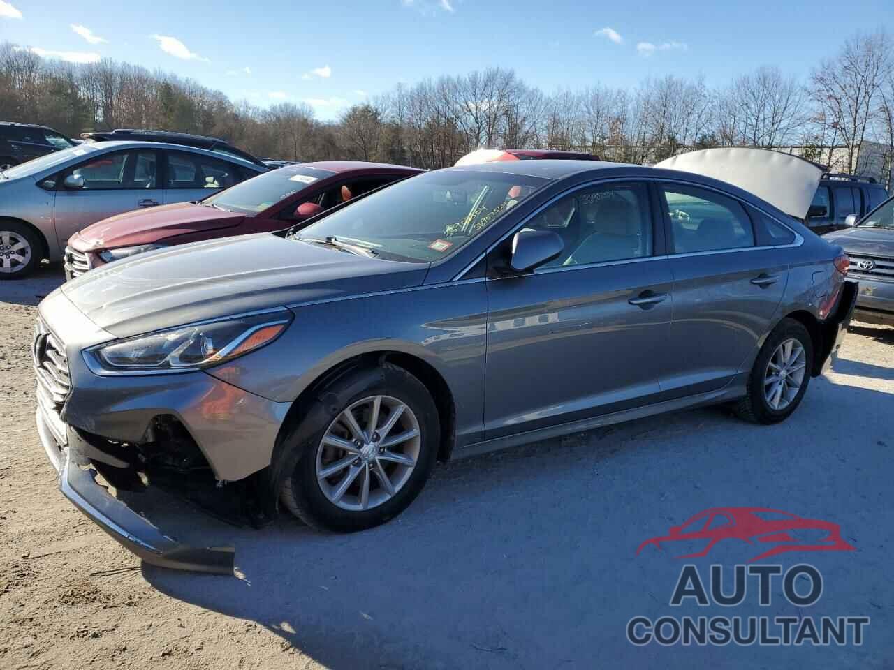 HYUNDAI SONATA 2019 - 5NPE24AF2KH743713