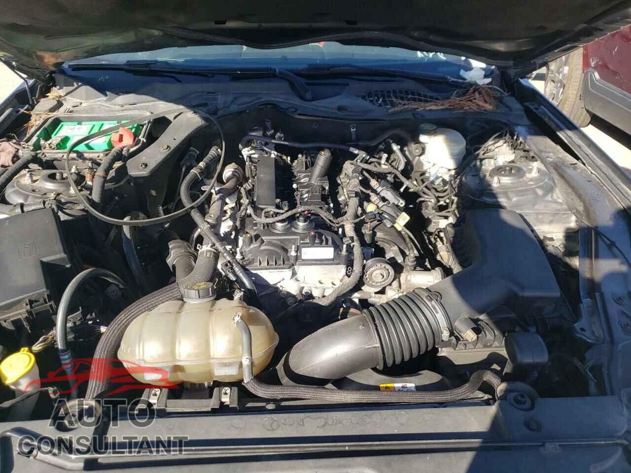 FORD MUSTANG 2017 - 1FA6P8TH9H5203365