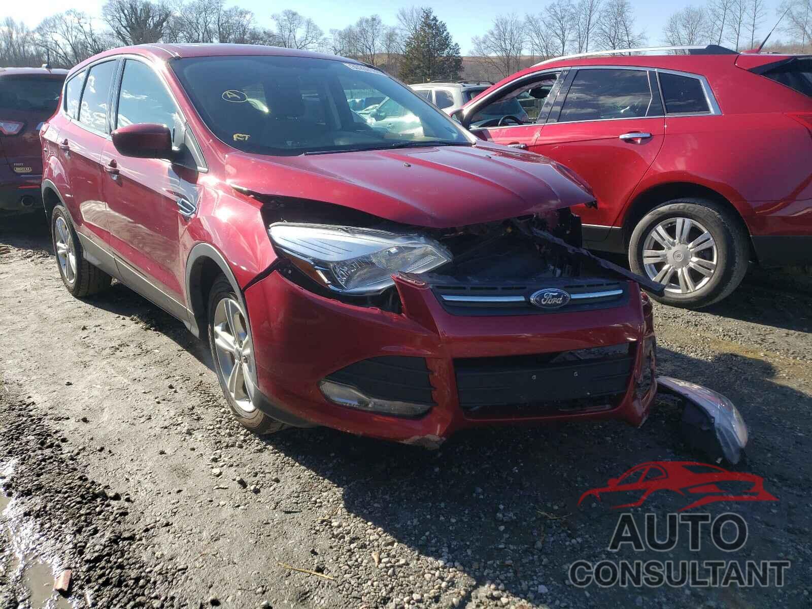 FORD ESCAPE 2015 - 4T1C11AKXLU361499