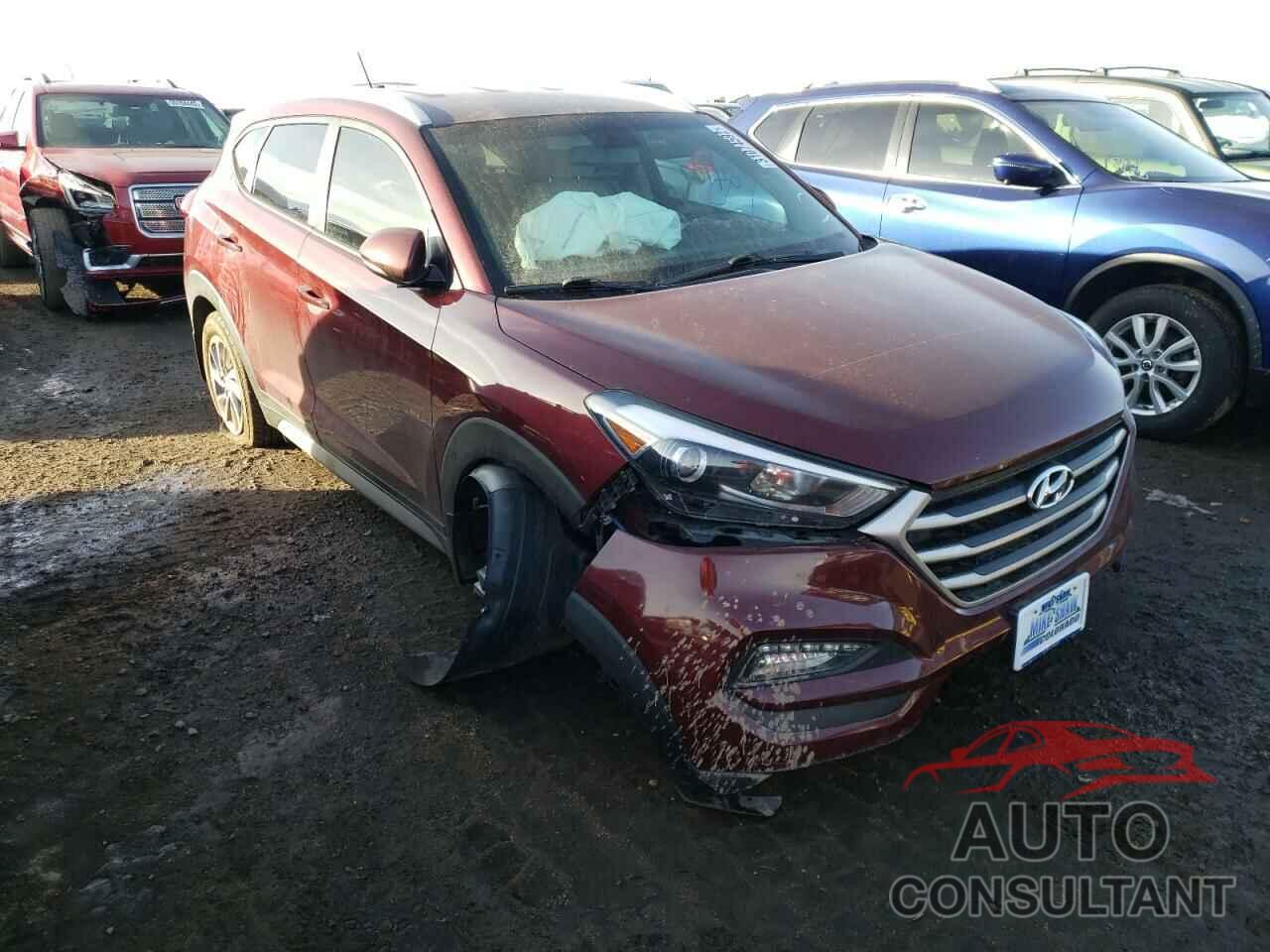 HYUNDAI TUCSON 2017 - KM8J3CA24HU491606